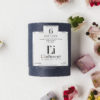 infusion detox l'infuseur été glaçons